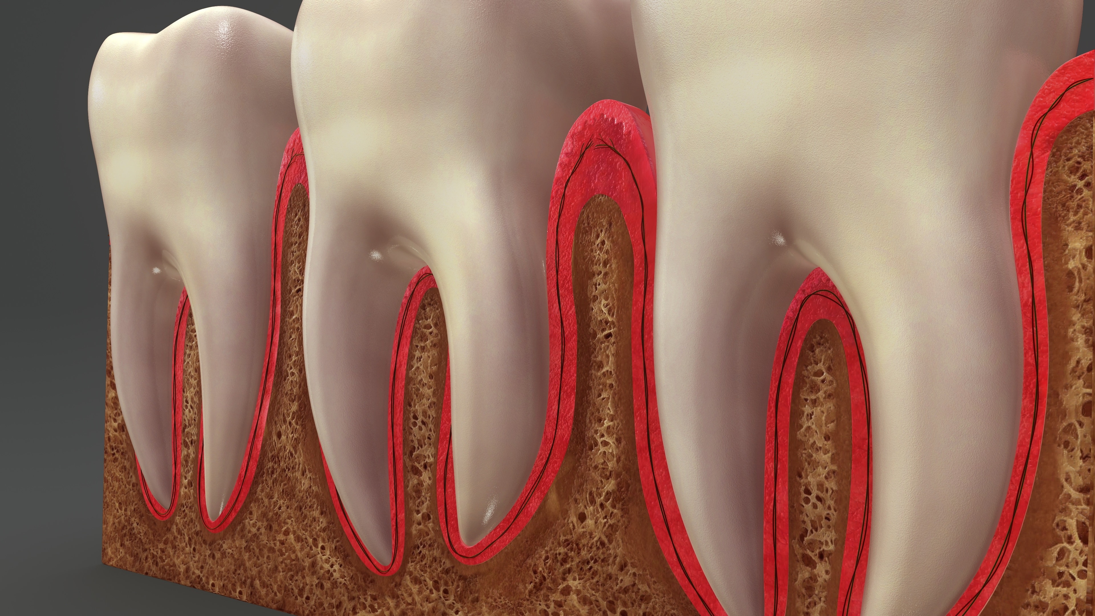 Quiz What Happens During A Root Canal Procedure