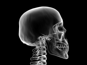 very close look at human skull